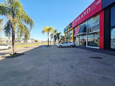 COLECTORA PANAMERICANA 100