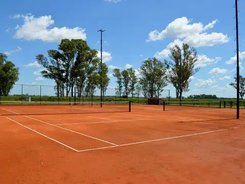 Area 60  - Lote 272