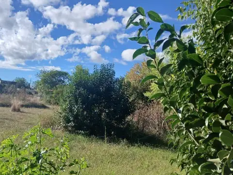 Terreno en Venta sobre calle 91 e/ 6 y 7. La PLata-1958m2