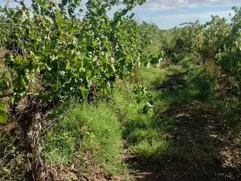 Ruta Nacional 40