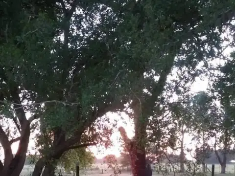 ruta 2 100