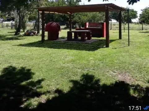 VENTA CAMPO 8250  - GUIDO, PROVINCIA DE BUENOS AIRES