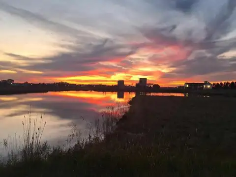 Campos De La Enriqueta