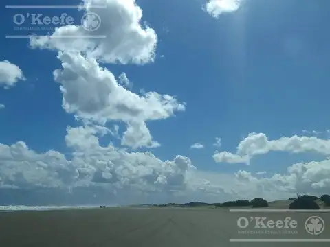 Campo en venta de 139 has en Tres Arroyos