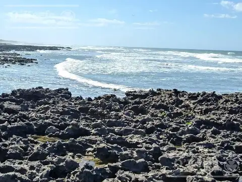 Campo en venta de 135has en Tres Arroyos