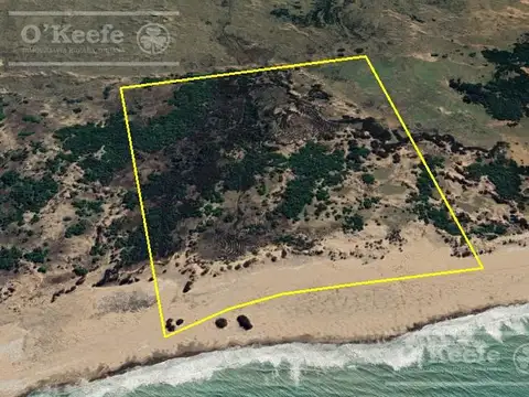 Campo en venta de 135has en Tres Arroyos