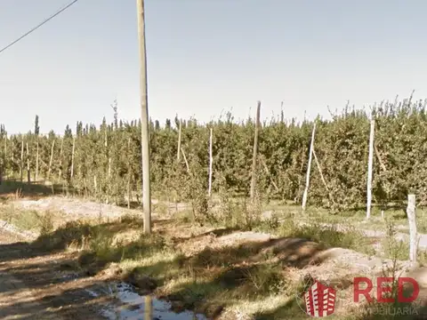 Terreno en Venta 500  mts Frente