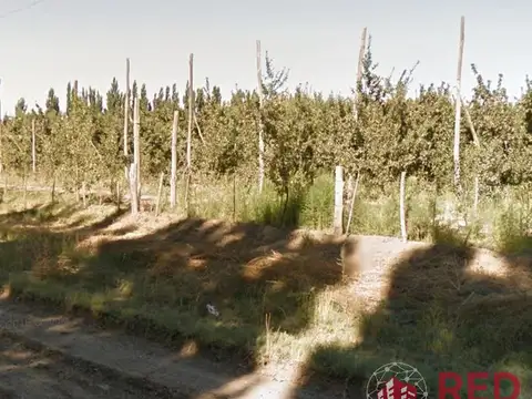 Terreno en Venta en General Roca, USD 140.000