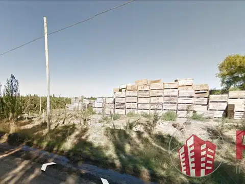 VENTA DE CHACRA EN PRODUCCION, GENERAL ROCA