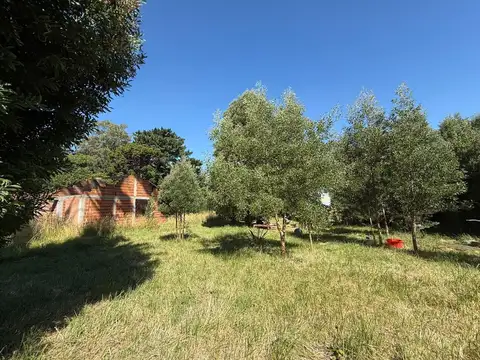 Calle Cedro Azul 5400