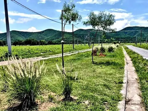 Terreno en Venta de 300,0 m2