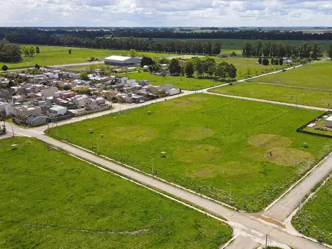 Carlos R Marzoratti 2500