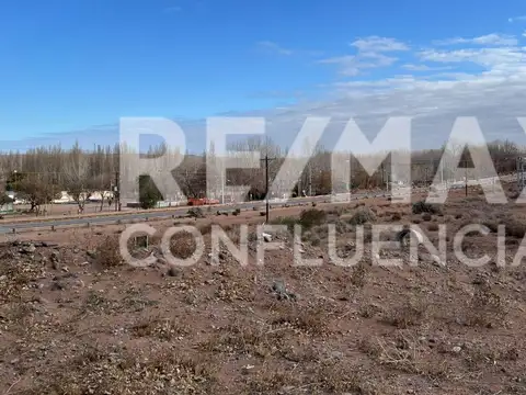 VENTA TERRENO EN AÑELO