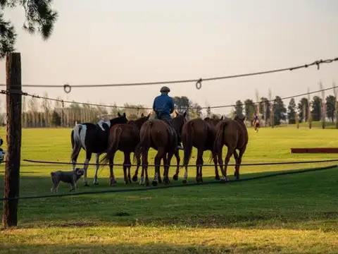 La Rinconada. VENTA lote 50 (1000 m2), vista al GOLF. PERMUTA directa por departamento(s).
