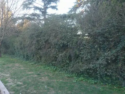 De la Tradición 2100