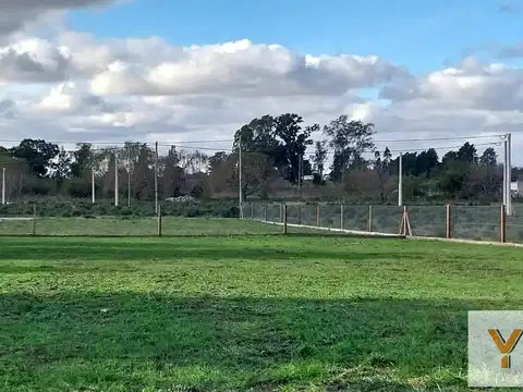Terreno en venta - 420Mts2 - Abasto, La Plata