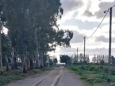 Aldea del Bosque II - 38 y 191