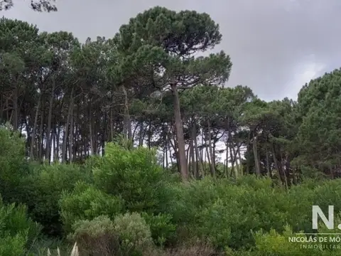 Terreno en Venta, FOT 50