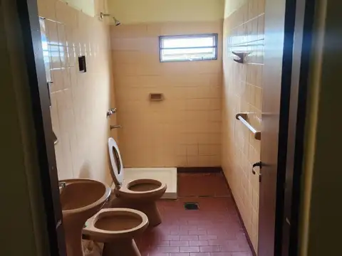 Dambra 100