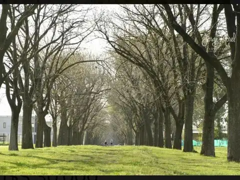 Terreno en Venta en Pilar Del Este, USD 33.000