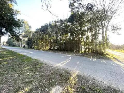 Terrenos y Lotes en Venta en Villa Elisa [Cod: 1-6249811]
