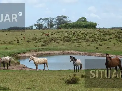 Ruta 9 km 321
