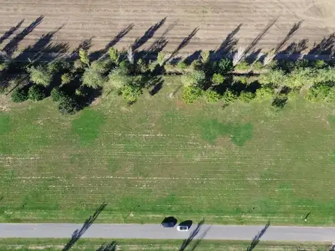 Terreno en Venta de 1000,0 m2