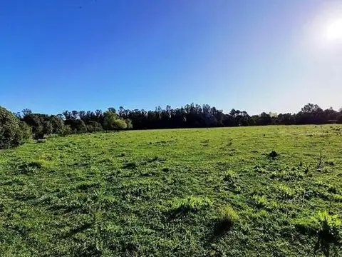 4 Hectareas En Zona De Quintas A Pocas Cuadras De Miramar