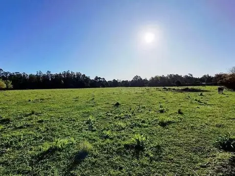 Terreno en Venta en Miramar, USD 100.000