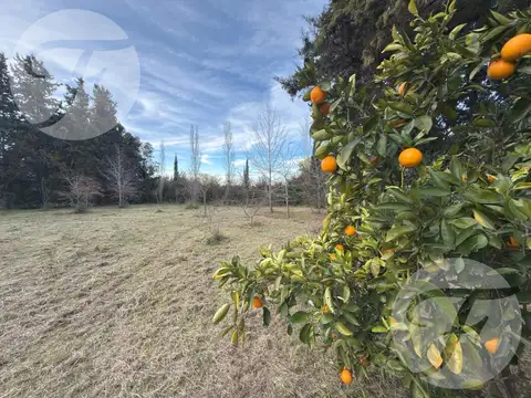 Terreno en Venta en San Pedro, USD 130.000