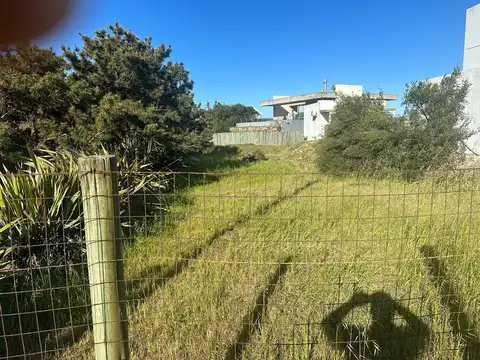 Terreno