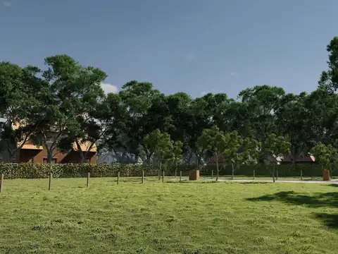 Monseñor Calcagno al 900