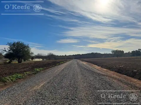 Terreno en Venta en Centro Agricola el Pato, Partido de Berazategui