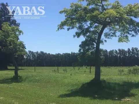 Terreno en Venta de 1030,0 m2