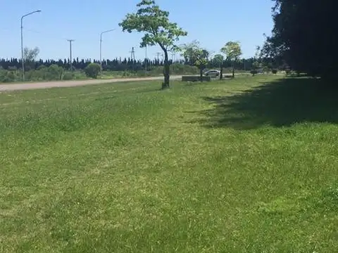 Terreno en Venta en San Pedro, USD 29.000