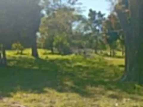 casa en venta con gran terreno