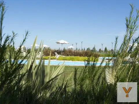 Campos de Roca