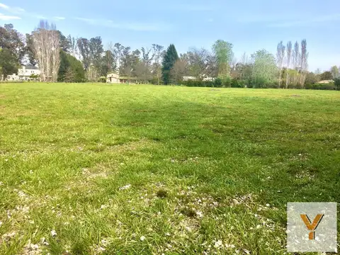 Campos de Roca