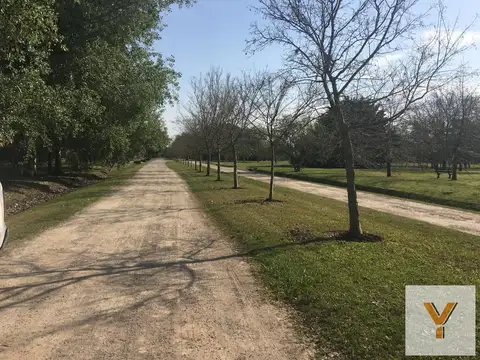 Terreno en Venta de 5000,0 m2