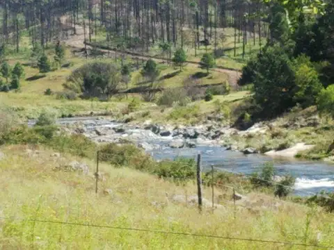Venta de Hectáreas con costa de río - Inti Yaco - Calamuchita (COD 3108.)