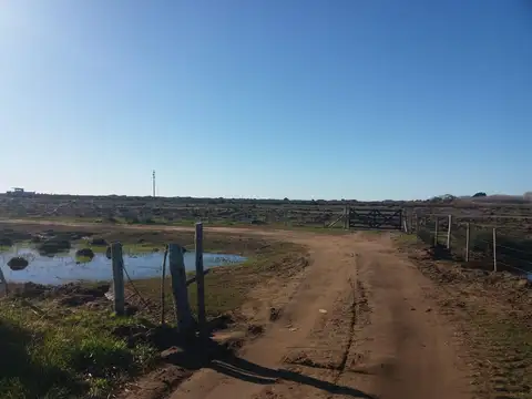 VENTA Chacra - 12 Ha Ruta 11 -317 km