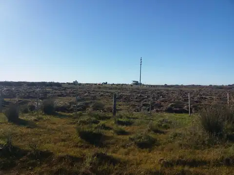 Km 317, ruta 11