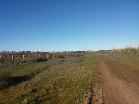 Terreno en Venta en Las Toninas, USD 240.000