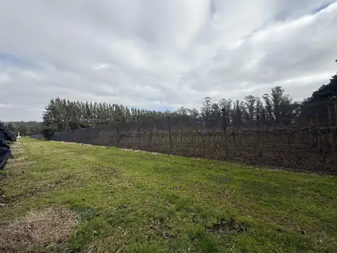 Sierra de Los Padres