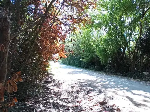 Terreno en Venta en Berisso, USD 17.000