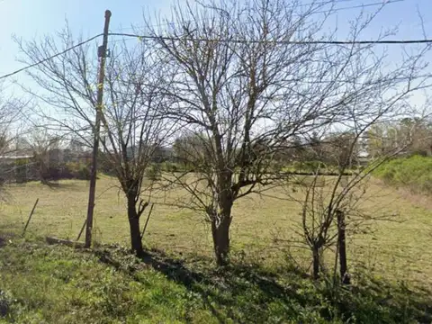 Los Pinos y Alvear , Piso 0