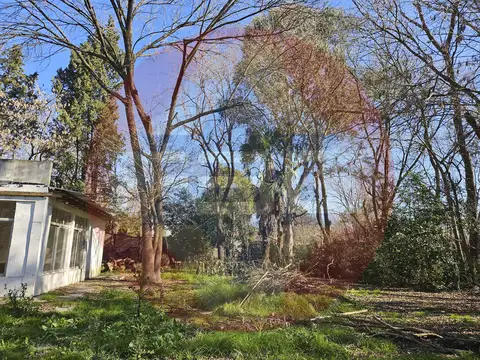 Terreno en Venta 41  mts Frente