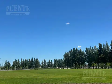 Terreno en Venta 12  mts Frente