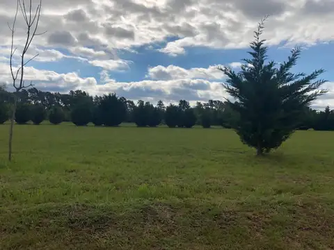 Terreno en Venta de 1000,0 m2