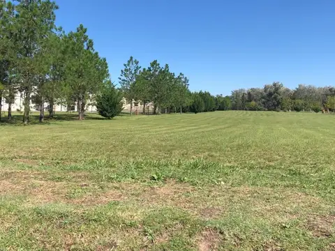 Terreno en Venta de 1000,0 m2